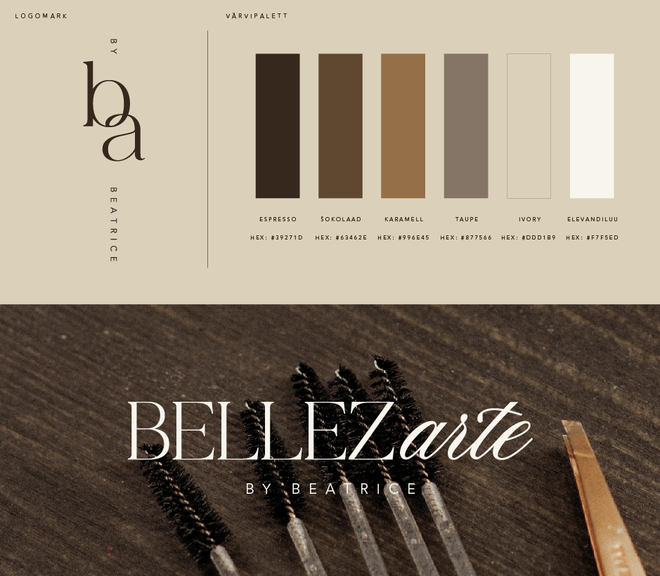 Visuaalne kontseptsioon